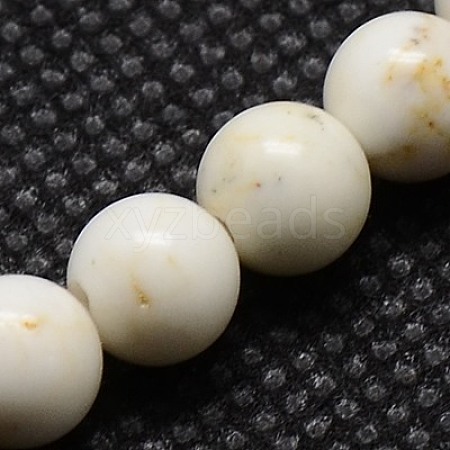 Natural Magnesite Beads Strands TURQ-G103-6mm-1