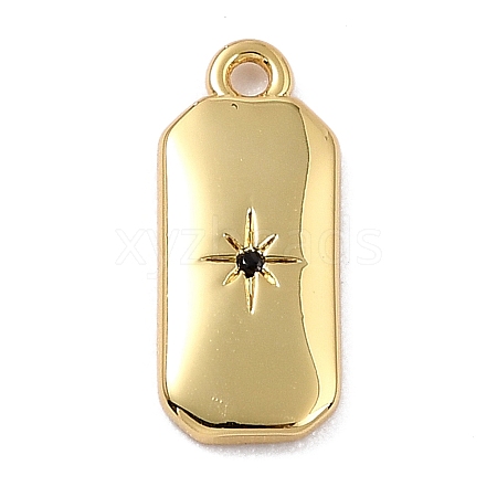 Brass Micro Pave Cubic Zirconia Charms ZIRC-I054-12G-02-1