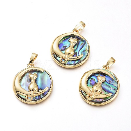 Natural Abalone Shell/Paua Shell Pendants BSHE-I014-02G-1