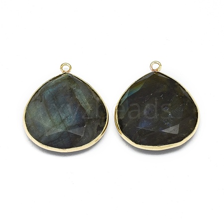 Natural Labradorite Pendants G-E526-05A-1