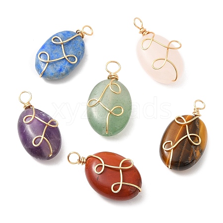 6Pcs Natural Mixed Gemstone Pendants PALLOY-JF02140-1