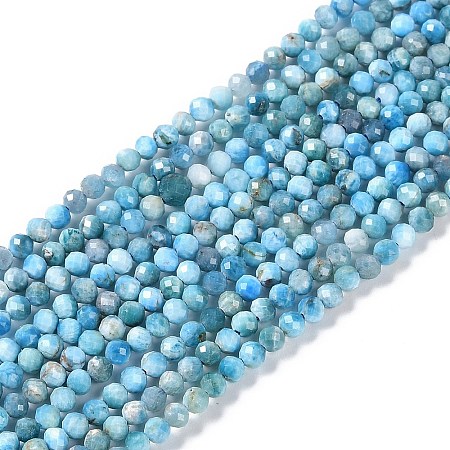 Natural Apatite Beads Strands G-P542-A07-02-1