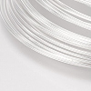 Carbon Steel Memory Wire STAS-H021-S-1-2