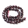 Natural Garnet Beads Strands X-G-F575-18D-1