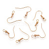 Iron Earring Hooks J07JW-LG-3