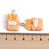 Resin Pendants RESI-I061-03C-3