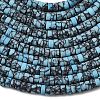 Dyed Synthetic Turquoise Beads Strands G-Z089-A04-S-5
