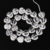 Natural Quartz Crystal Beads Strands G-P592-B19-01-3