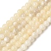 Natural White Moonstone Beads Strands G-F306-05AB-6mm-01-3
