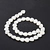 Natural Trochus Shell Beads Strands SSHEL-H070-06D-4