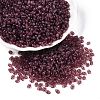 Imitation Jade Glass Seed Beads SEED-T006-01B-3