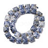 Natural Blue Spot Jasper Beads Strands G-F839-A15-01-5