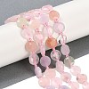 Natural Morganite Beads Strands G-C116-A60-01-1