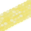 Frosted Transparent Glass Beads Strands GLAA-T032-T4mm-MBB12-1