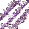 Natural Amethyst Beads Strands G-L649-D05-02-2