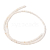 Natural Freshwater Shell Beads Strands SHEL-P017-01A-02-2