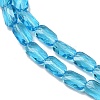 Transparent Glass Beads Strands GLAA-Z018-C23-3
