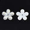 5-Petal Electroplate Acrylic Bead Caps PACR-T014-02-3