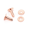 Brass Studs Rivets FIND-WH0091-82B-1