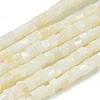 Natural Freshwater Shell Beads Strands BSHE-G039-03-1