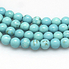 Natural Howlite Beads Strands X-TURQ-G103-4mm-01-2