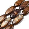 Dyed Natural Freshwater Shell Beads Strands BSHE-G034-23-1