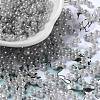 Glass Seed Beads SEED-H002-E-A1420-1