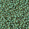 MIYUKI Round Rocailles Beads SEED-X0054-RR0374-3