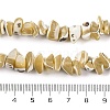 Natural Trochus Shell Beads Strands BSHE-S304-04-4