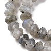 Natural Labradorite Beads Strands G-K380-A44-04-4