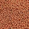 MIYUKI Round Rocailles Beads SEED-X0054-RR4207-2