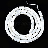 Natural Trochid Shell/Trochus Shell Beads Strands SSHEL-S266-020A-02-2