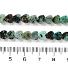 Natural African Turquoise(Jasper) Beads Strands G-M403-A26-02-5