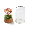 Natural Carnelian Chips Money Tree in Dome Glass Bell Jars with Wood Base Display Decorations DJEW-K030-02F-3