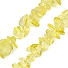 Transparent Glass Beads Strands GLAA-Z009-01C-1