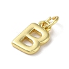 Rack Plating Brass Charms KK-P245-06G-B-2