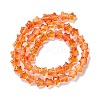 Transparent Glass Beads Strand X1-GLAA-F112-04F-3