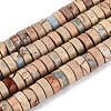 Natural Shoushan Stone Beads Strands G-N367-03A-06-2