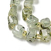 Natural Prehnite Beads Strands G-G053-B12-01A-4