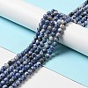 Natural Blue Spot Jasper Beads Strands G-P476-01B-02-2