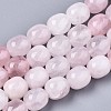 Natural Rose Quartz Beads Strands G-S359-222-1