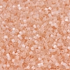 MIYUKI Delica Beads SEED-JP0008-DB0824-3