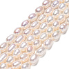 Natural Cultured Freshwater Pearl Beads Strands PEAR-N012-04G-4