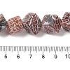 Natural Weathered Agate Beads Strands G-Q169-C04-02A-5