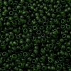 MIYUKI Round Rocailles Beads X-SEED-G008-RR0158F-3