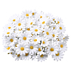 100Pcs Cloth Artificial Sunflower DIY-SP0005-96B-1