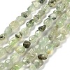 Natural Prehnite Beads Strands G-P497-01E-39-1