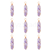 Natural Amethyst Pendants G-CJ0001-43-4