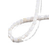 Natural Freshwater Shell Beads Strands SHEL-N003-33-B01-4