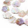 Electroplated Natural Freshwater Shell Beads Strands X-SHEL-N026-203B-01-3